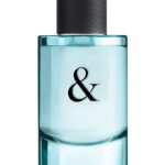 Tiffany & Co, Love, Eau de Toilette, Voor mannen, 90 ml