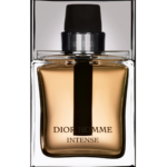 Christian Dior, Dior Homme Intense, Parfumwater, Voor mannen, 100 ml