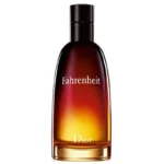 Christian Dior, Fahrenheit, Eau de Toilette, Voor mannen, 100 ml