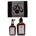 Consumer Kit C Set Depot: 100 Hair Cleansing No. 102, Botanical Complex, Hair Shampoo, Anti-Dandruff & Sebum Control, 250 ml + 200 Hair Treatments No. 208, Botanical Complex, Leave-In Scalp Treatment Lotion, For Detoxing, 100 ml
