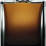 Dolce & Gabbana, The One, Eau De Parfum, For Men, 150 ml