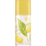 Elizabeth Arden, Green Tea Citron Freesia, Eau de Toilette, Voor vrouwen, 100 ml