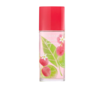 Elizabeth Arden, Green Tea Lychee Lime, Eau de Toilette, Voor vrouwen, 100 ml