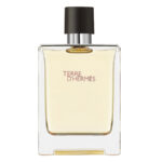Hermes, Terre d'Hermes, Eau de Toilette, Voor mannen, 100 ml *Tester