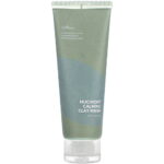 Isntree, Mugwort Calming, Exfoliating & Revitalising, Kleimasker, 100 ml