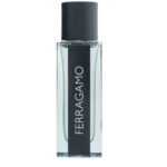 Salvatore Ferragamo, Ferragamo Travel, Eau de Toilette, Voor mannen, 30 ml