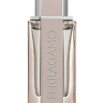 Salvatore Ferragamo, Bright Leather, Eau de Toilette, Voor mannen, 100 ml