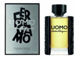 Salvatore Ferragamo, Uomo, Eau de Toilette, Voor mannen, 100 ml - Afbeelding 2