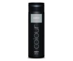 Subrina Professional, Direct Colour, Zonder oxidanten en zonder ammoniak, Haarkleuringsgel, Voor directe kleuring, Silver, 200 ml - Afbeelding 2