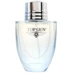 Top Gun, Chevron, Eau de Toilette, Voor mannen, 100 ml