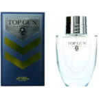 Top Gun, Chevron, Eau de Toilette, Voor mannen, 100 ml - Afbeelding 2